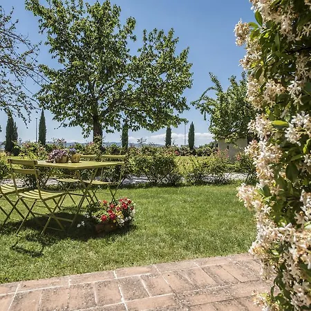 Favorita Food&wine * Bastia Umbra