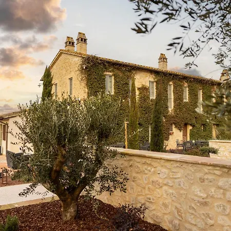 Favorita Food&wine *